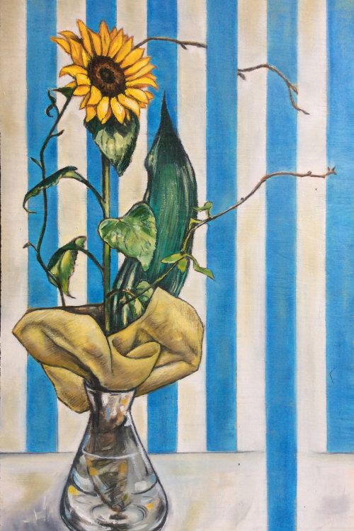 56 _ lollini _ sunflower and stripes
